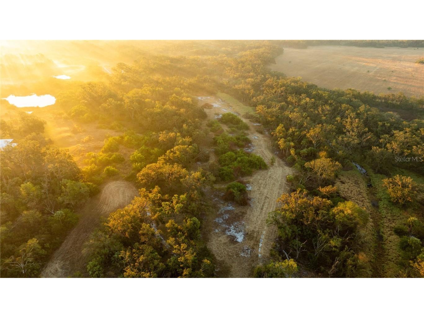 1552 Palm View Road Sarasota FL 34240 OM694741 image26