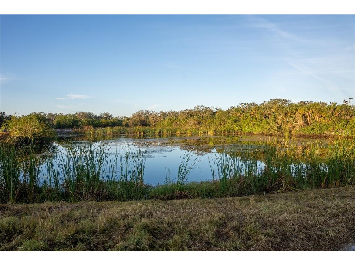 1552 Palm View Road Sarasota FL 34240 OM694741 image28