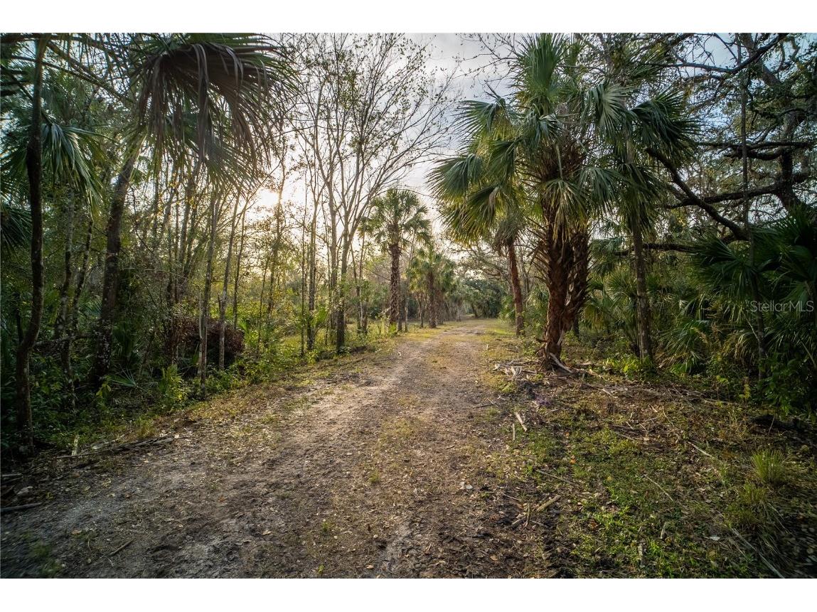 1552 Palm View Road Sarasota FL 34240 OM694741 image32