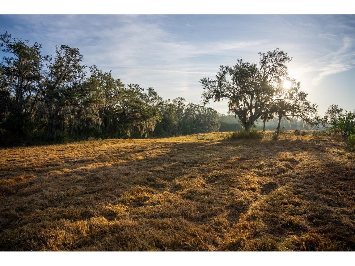 1552 Palm View Road Sarasota FL 34240 OM694741 image49