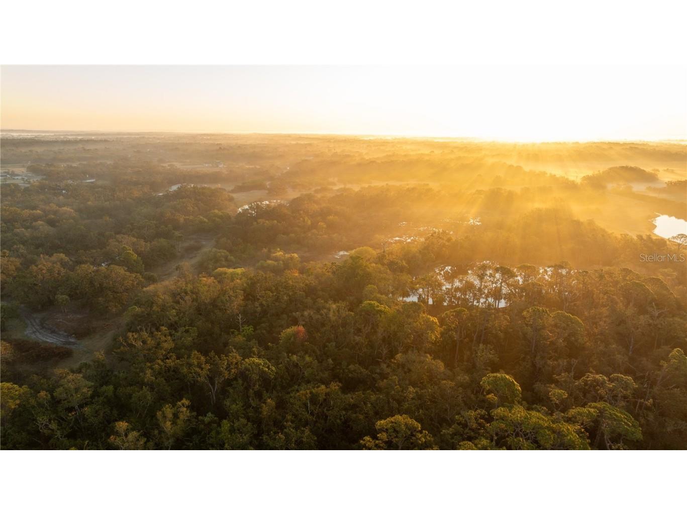 1552 Palm View Road Sarasota FL 34240 OM694741 image8