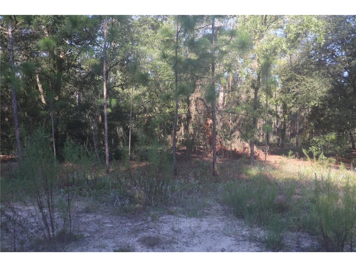 1552 SW 154th Court Ocala FL 34481 OM662306 image1