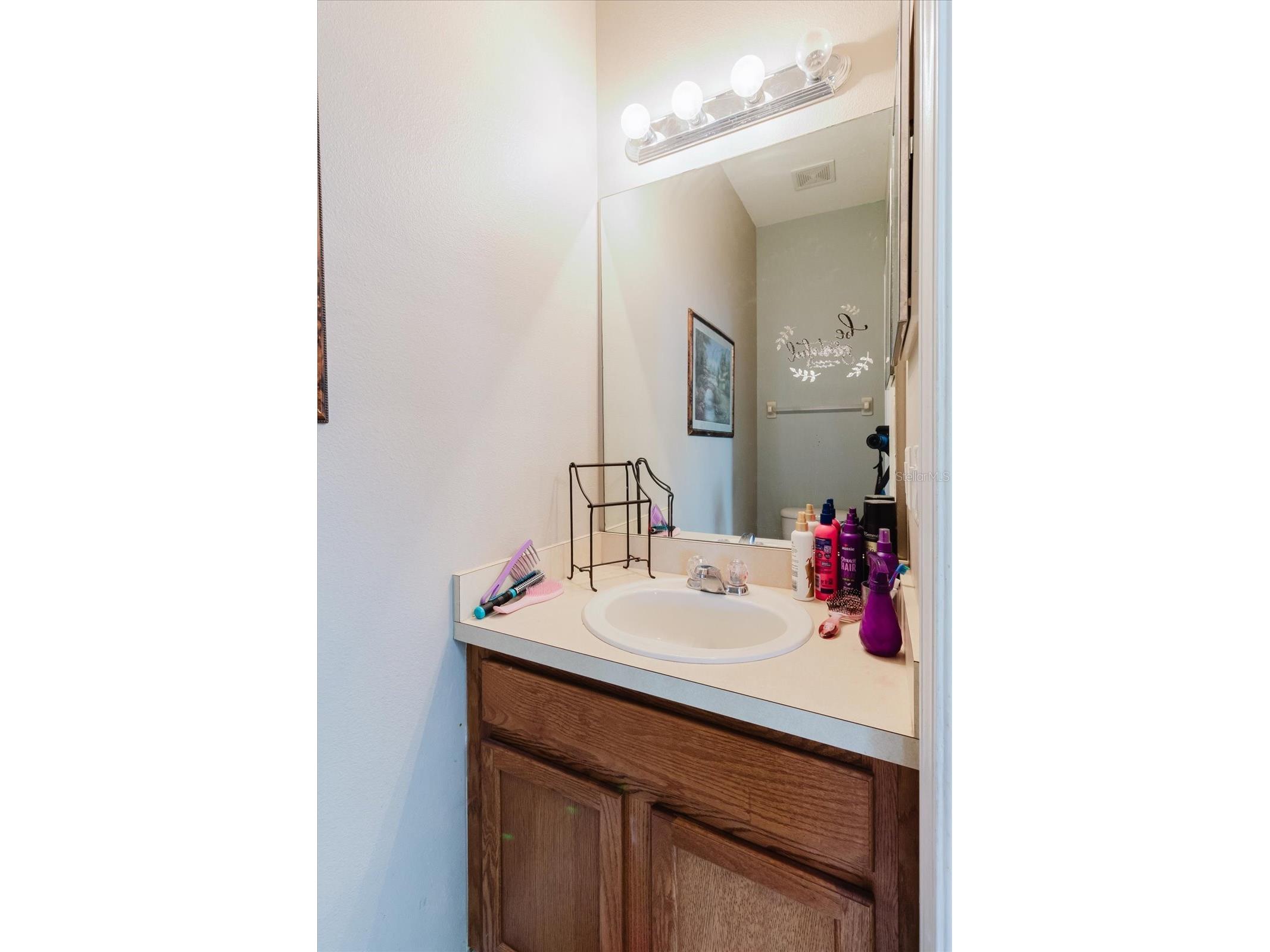 15521 Long Cypress Drive Ruskin FL 33573 TB8490249 image34
