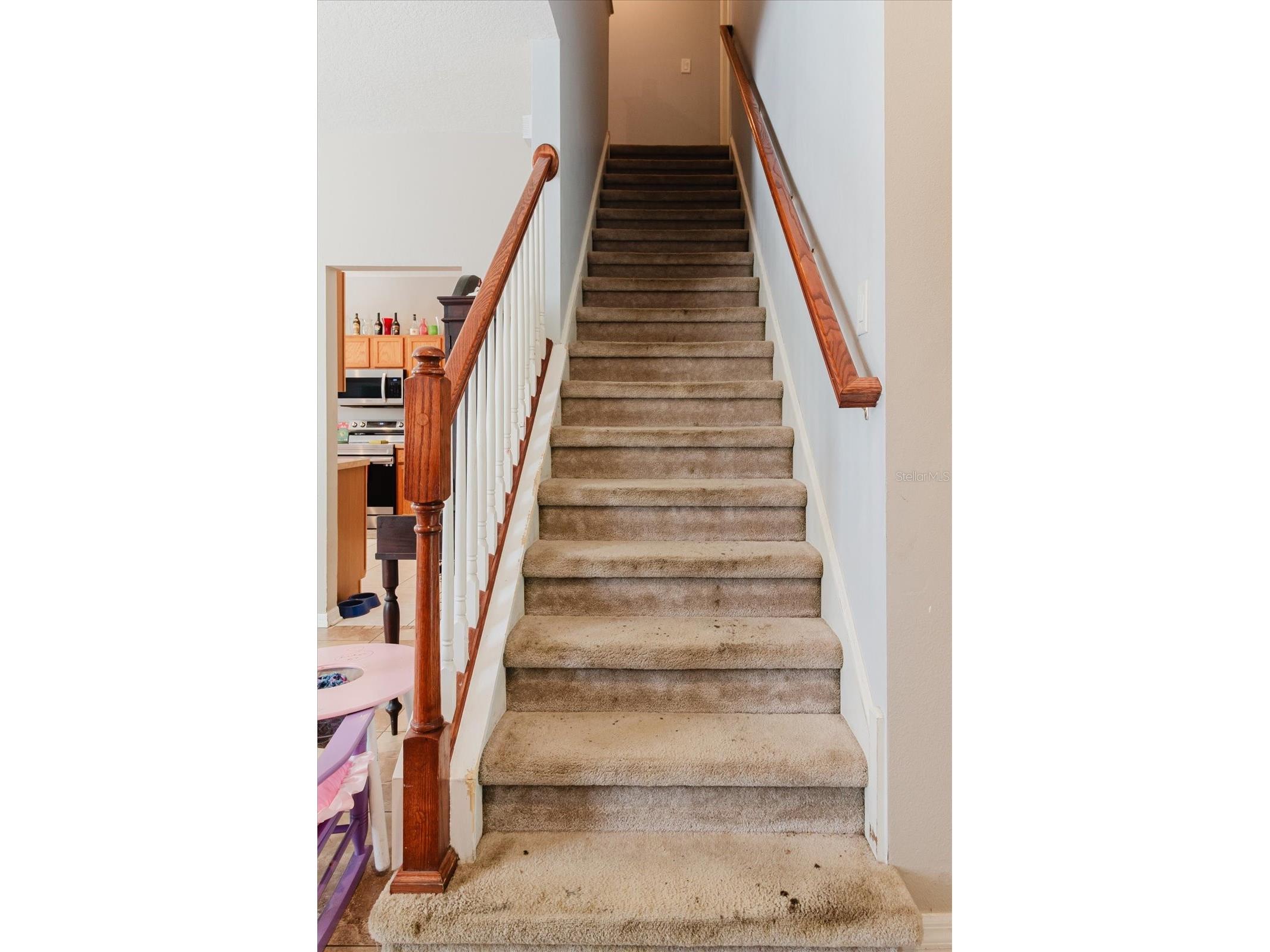 15521 Long Cypress Drive Ruskin FL 33573 TB8490249 image37