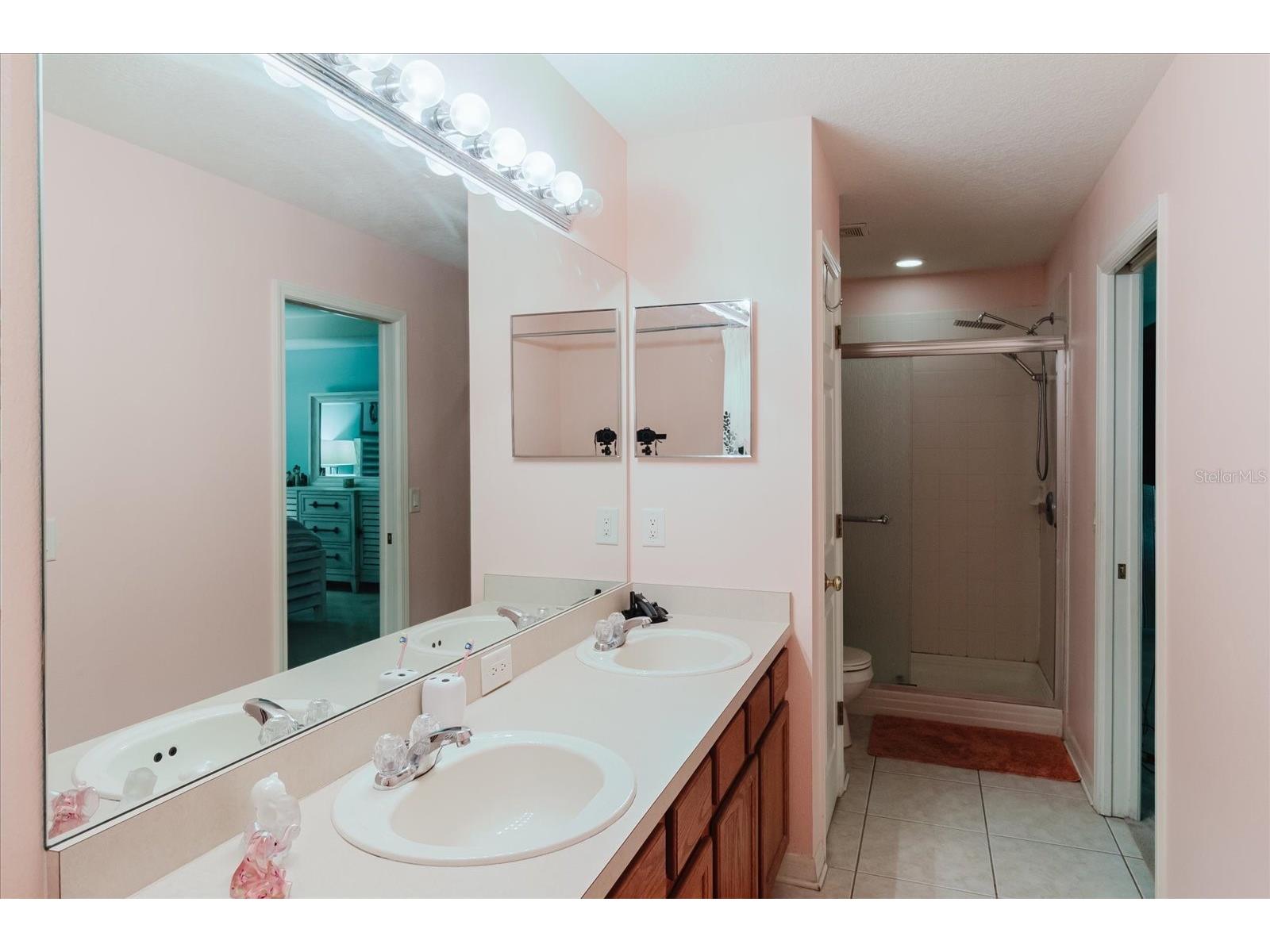 15521 Long Cypress Drive Ruskin FL 33573 TB8490249 image41