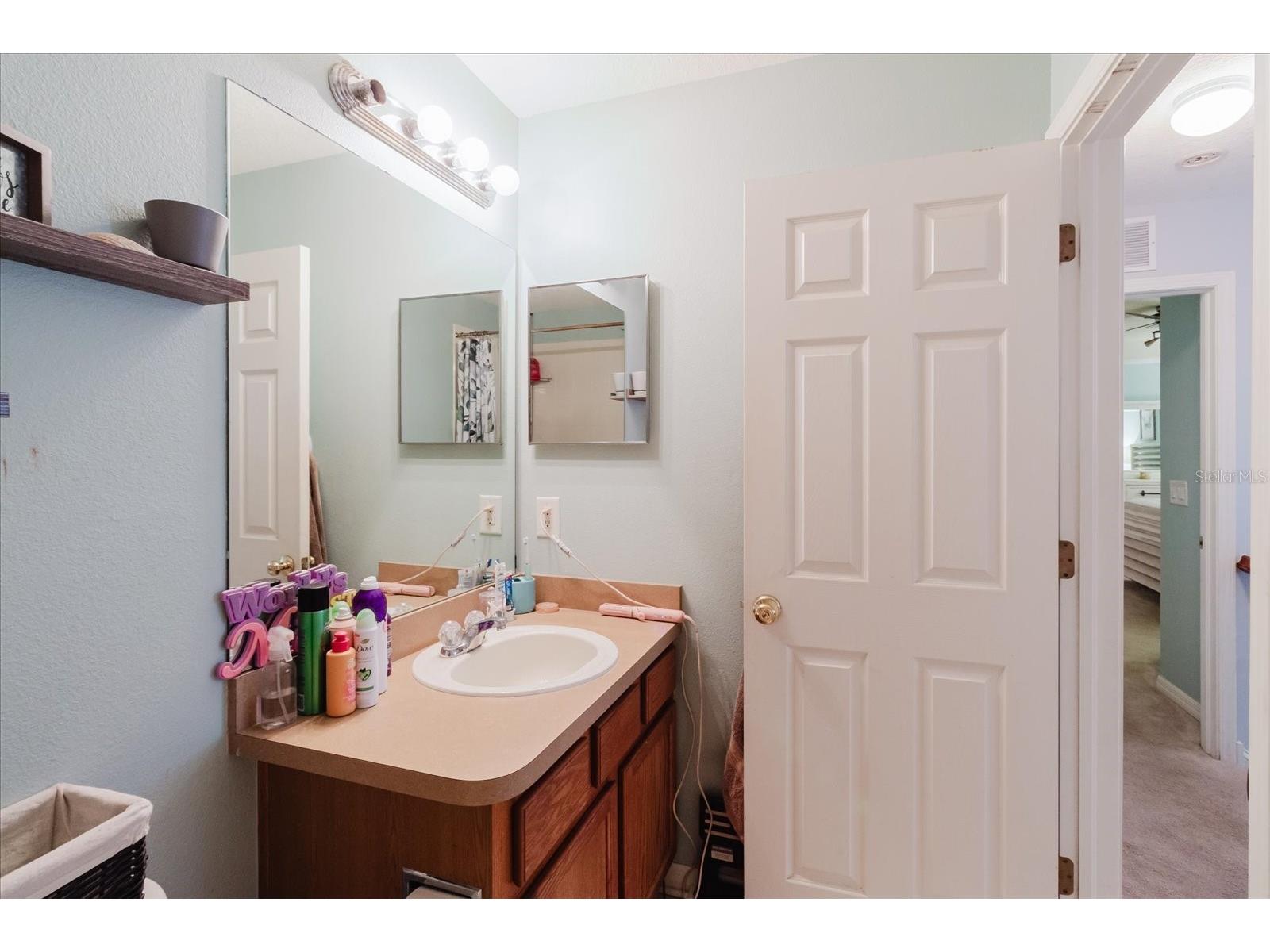 15521 Long Cypress Drive Ruskin FL 33573 TB8490249 image50
