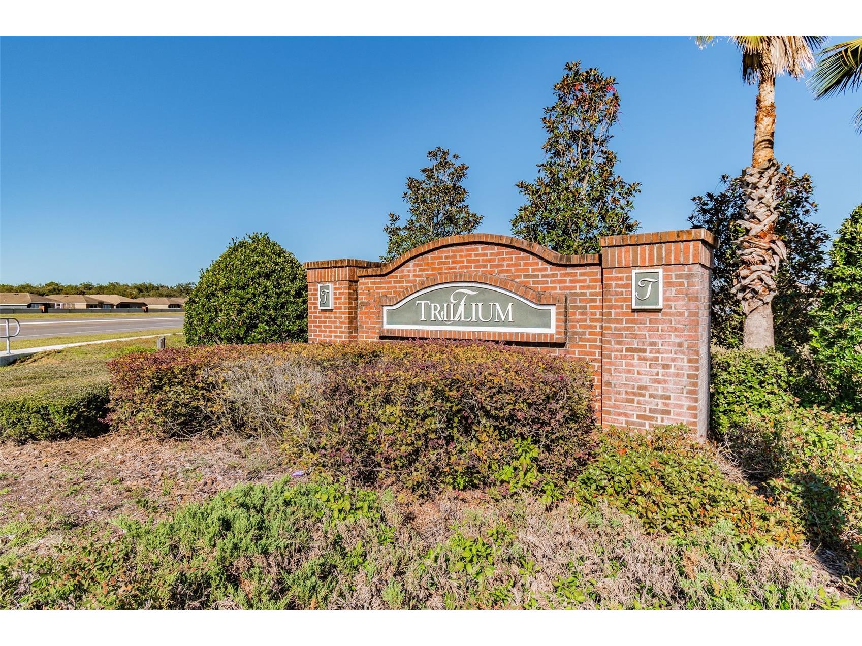15521 Stone House Drive Brooksville FL 34604 TB8492092 image39