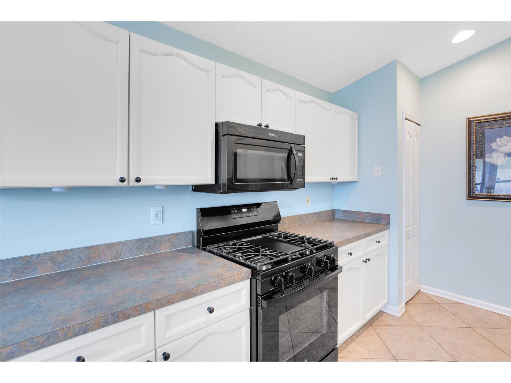 15522 Bay Vista Drive Clermont FL 34714 S5141112 image38