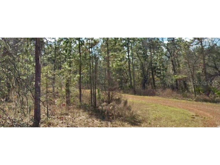 15525 Cliff Swallow Road Weeki Wachee FL 34614 W7860501 image1