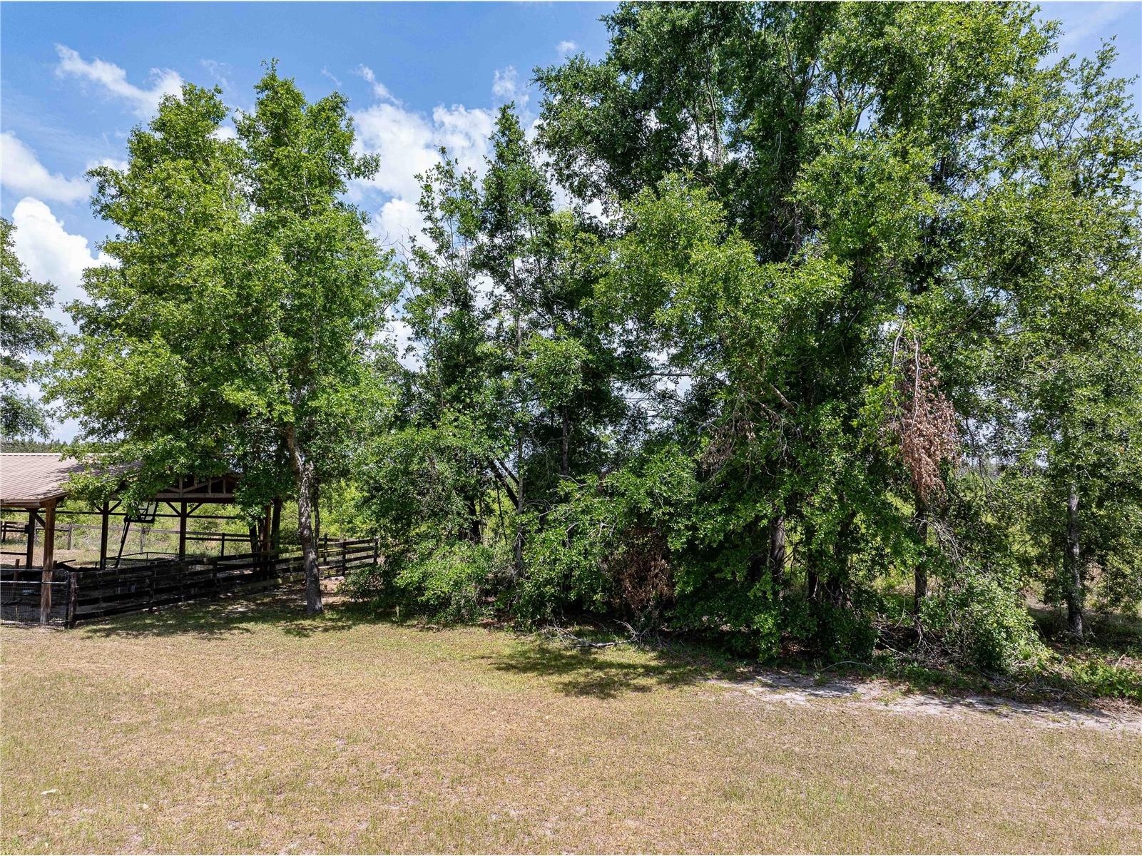 15527 194th Place O'Brien FL 32071 GC538780 image31
