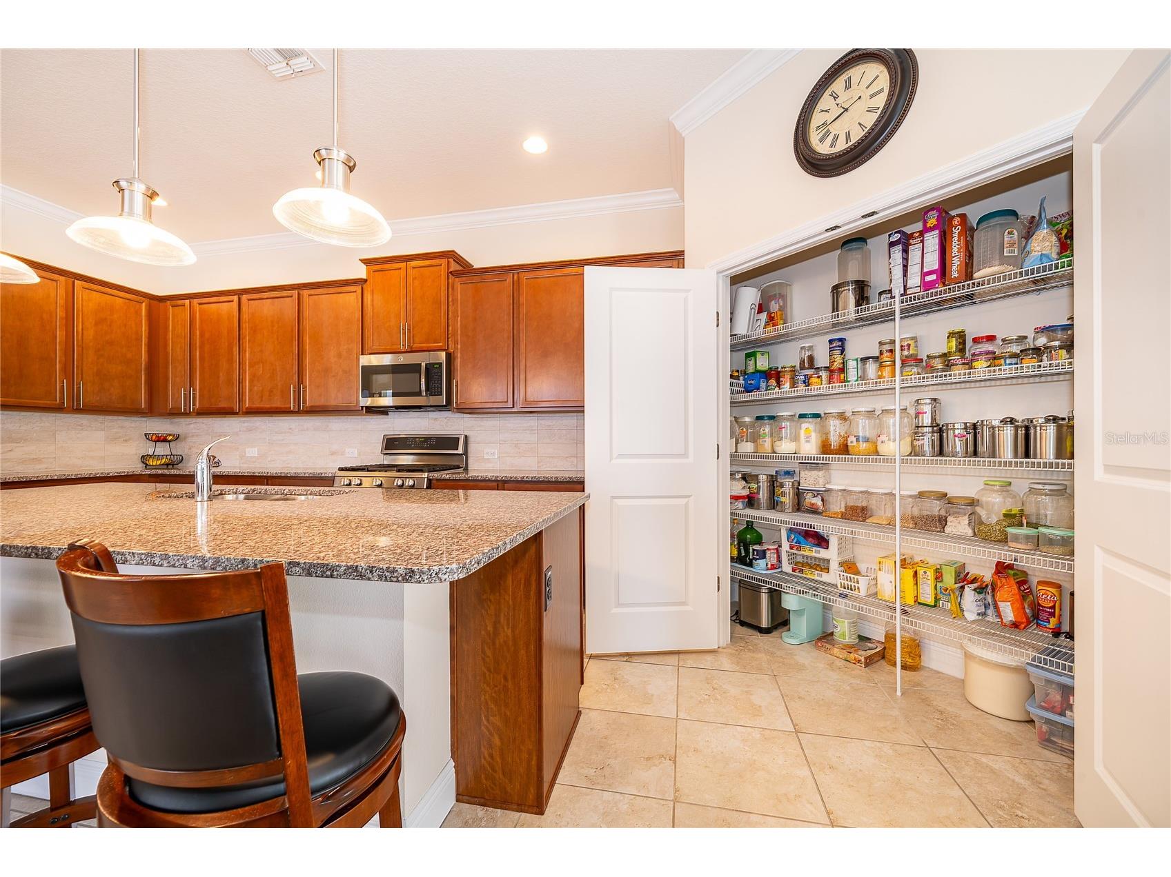 15527 Sweet Orange Avenue Winter Garden FL 34787 O6394429 image12