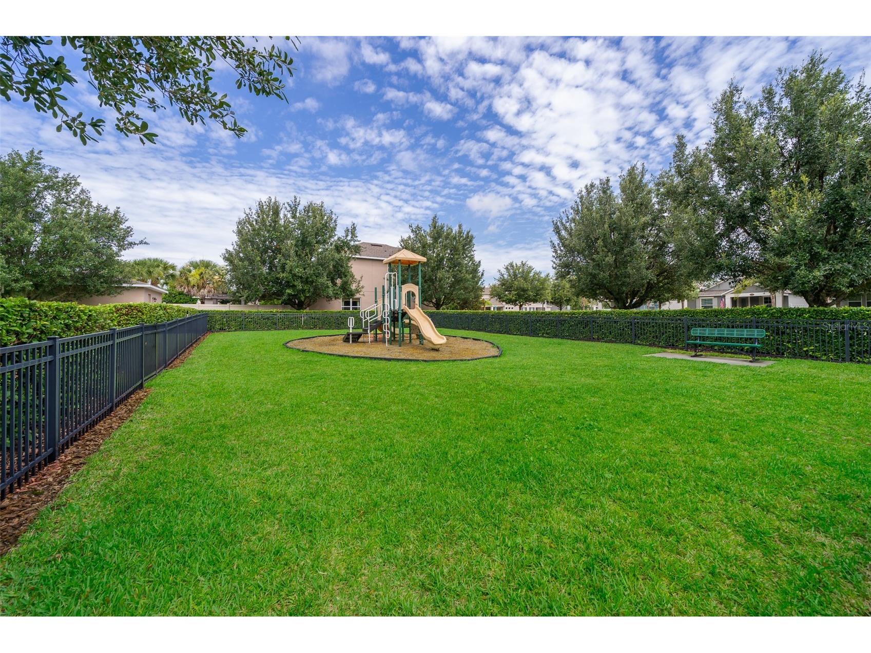 15527 Sweet Orange Avenue Winter Garden FL 34787 O6394429 image38
