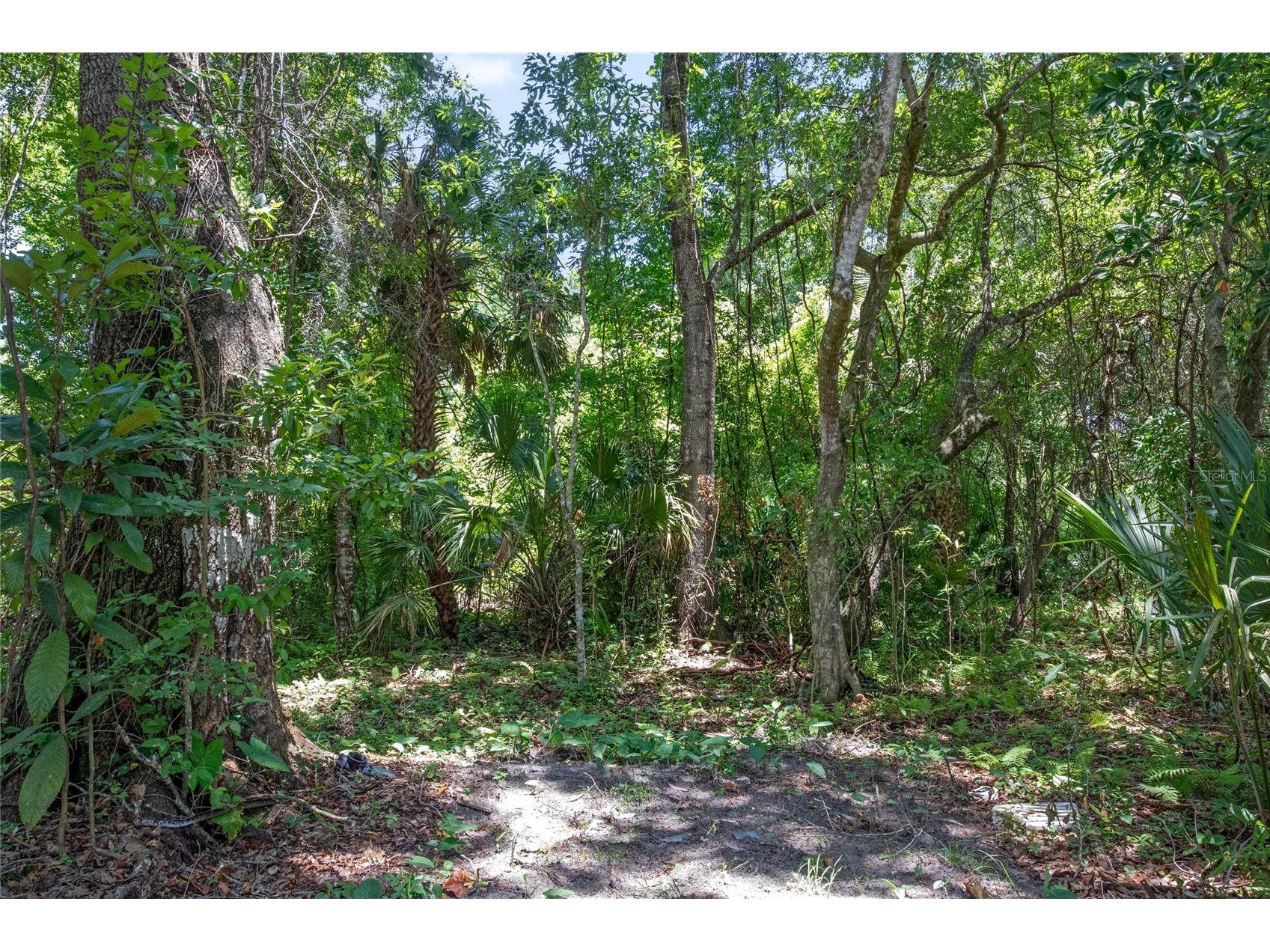 15527 Trousdale Street Clermont FL 34715 G5110558 image13