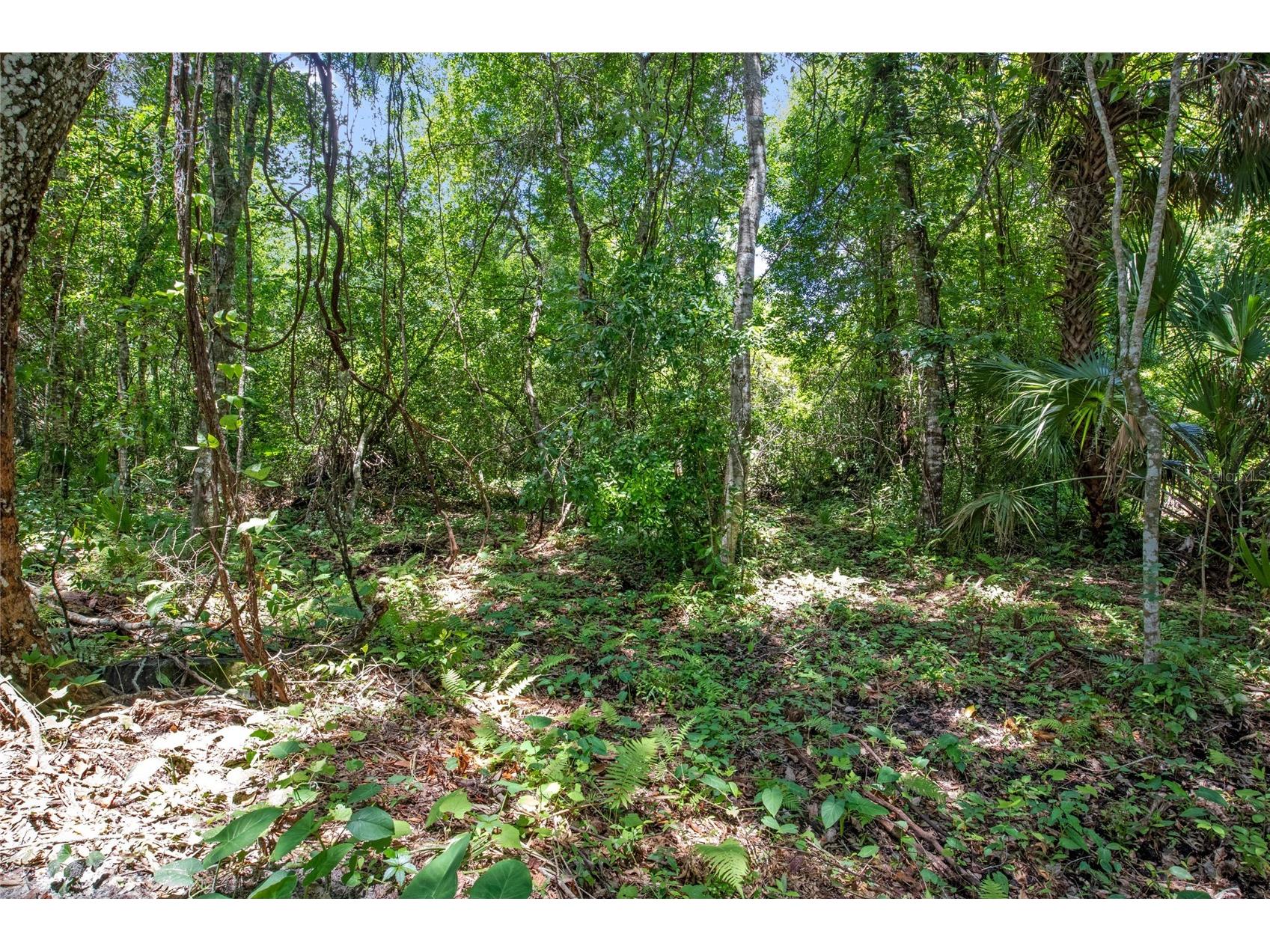 15527 Trousdale Street Clermont FL 34715 G5110558 image14