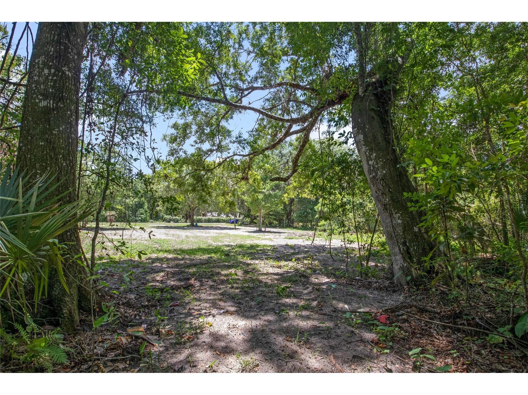 15527 Trousdale Street Clermont FL 34715 G5110558 image3