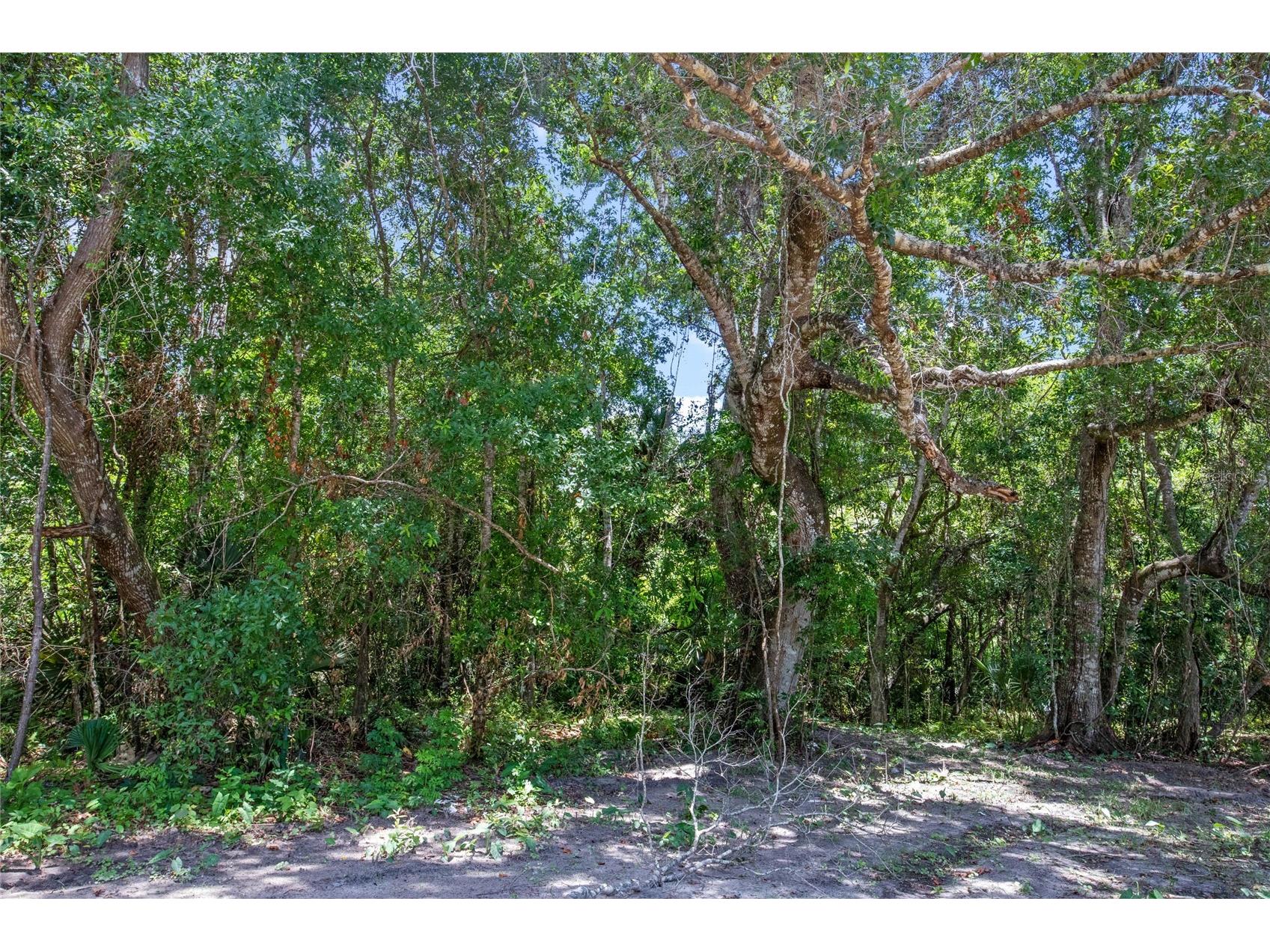 15527 Trousdale Street Clermont FL 34715 G5110558 image40