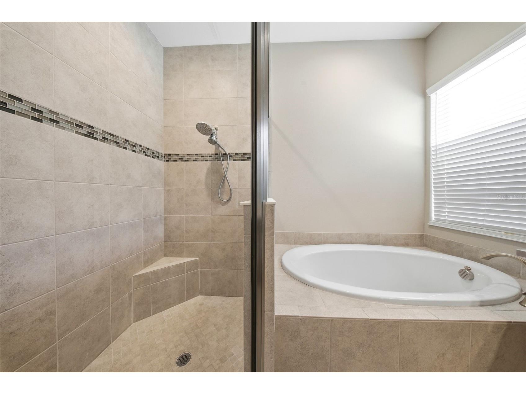 15528 Corona Del Mar Drive Wimauma FL 33598 TB8499515 image24