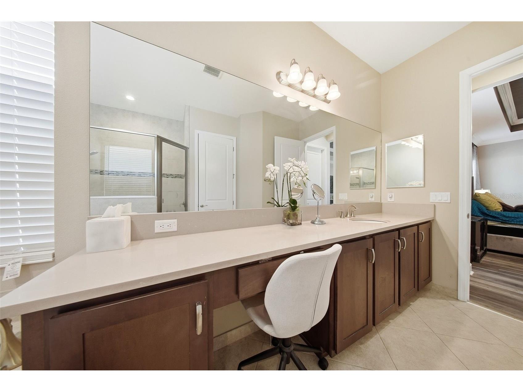 15528 Corona Del Mar Drive Wimauma FL 33598 TB8499515 image25