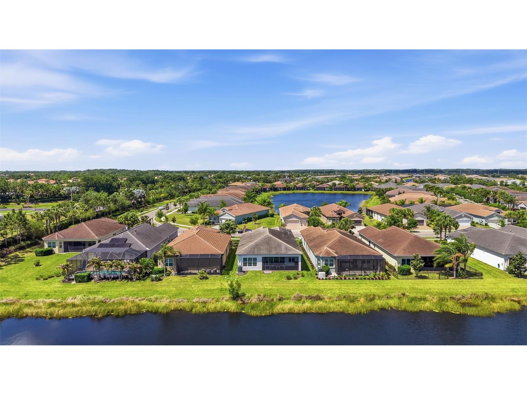 15528 Corona Del Mar Drive Wimauma FL 33598 TB8499515 image42