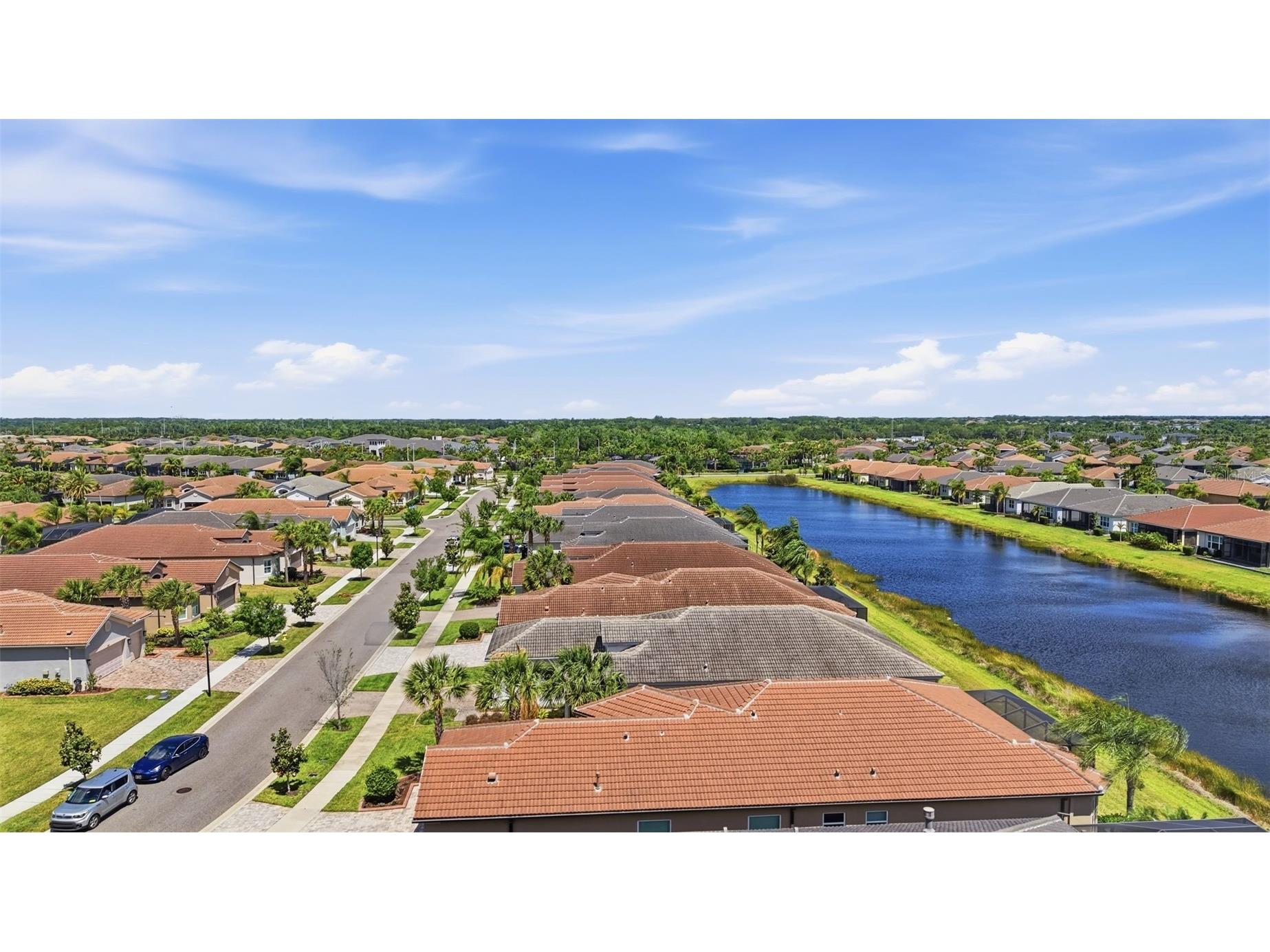 15528 Corona Del Mar Drive Wimauma FL 33598 TB8499515 image44