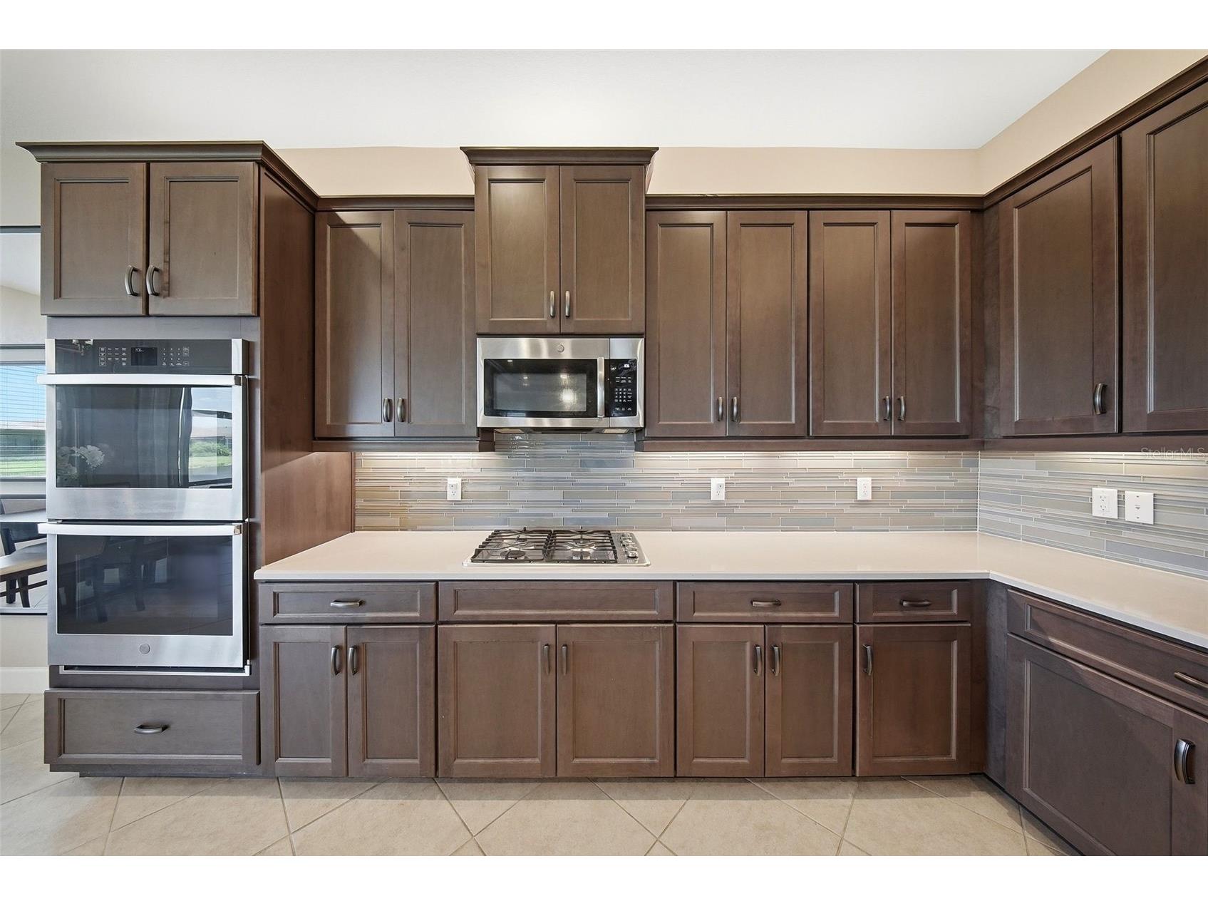 15528 Corona Del Mar Drive Wimauma FL 33598 TB8499515 image8