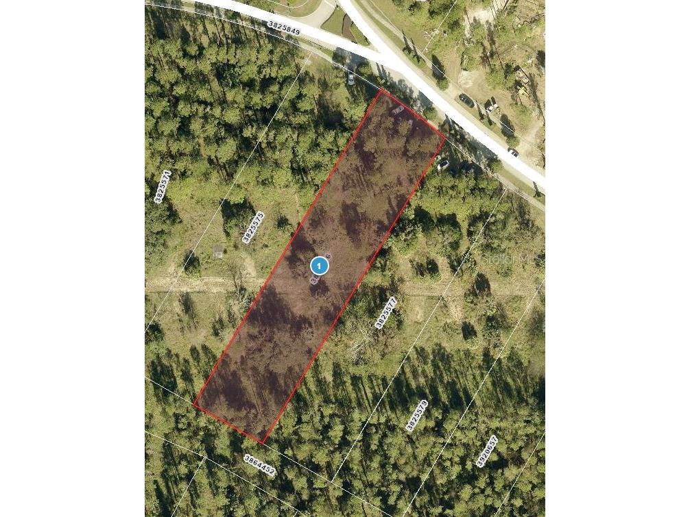 15528 Pendio Drive Montverde FL 34756 - LAKE SIENA G5102174 image1