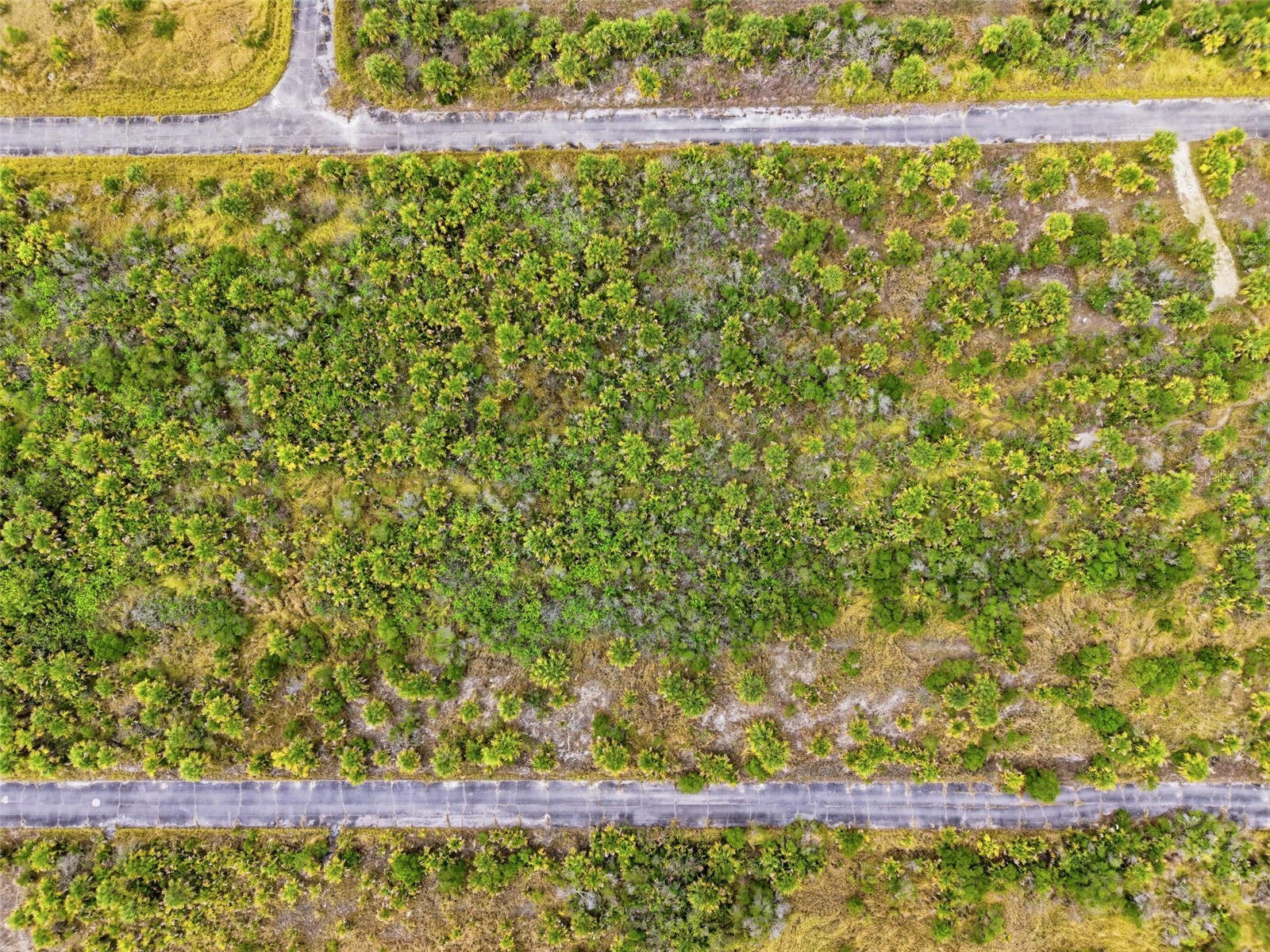 1553 Alcova Street SW Palm Bay FL 32908 O6402774 image8