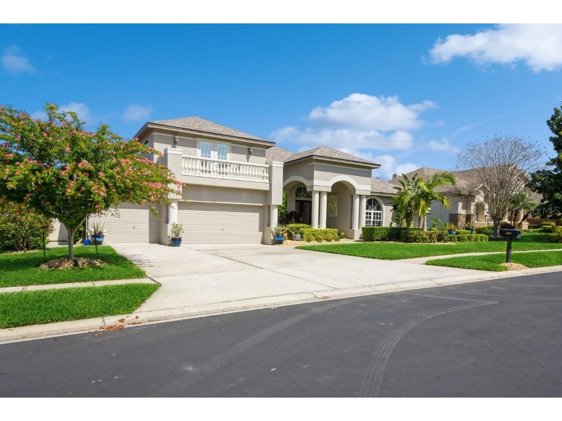 1553 Canopy Oaks Boulevard Palm Harbor FL 34683 T3512186 image1