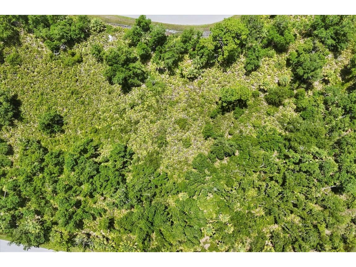 1553 Frisco Terrace Port Charlotte FL 33953 D6143222 image5