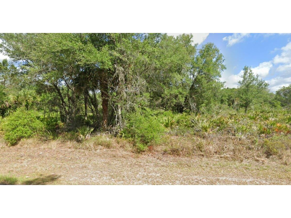 1553 Frisco Terrace Port Charlotte FL 33953 D6143222 image7