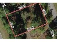 1553 Marlin Drive Poinciana FL 34759 S4850214 image1