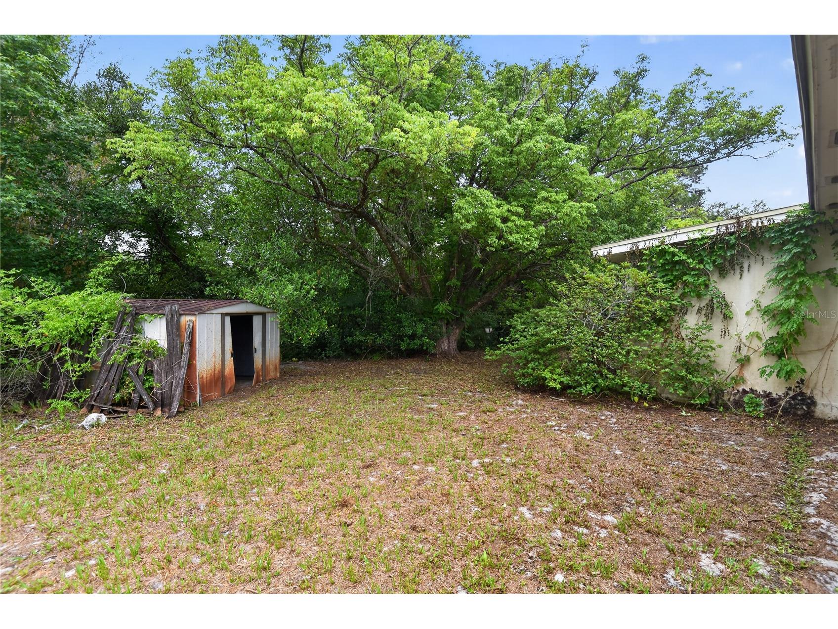 1553 Providence Boulevard Deltona FL 32725 O6420910 image26