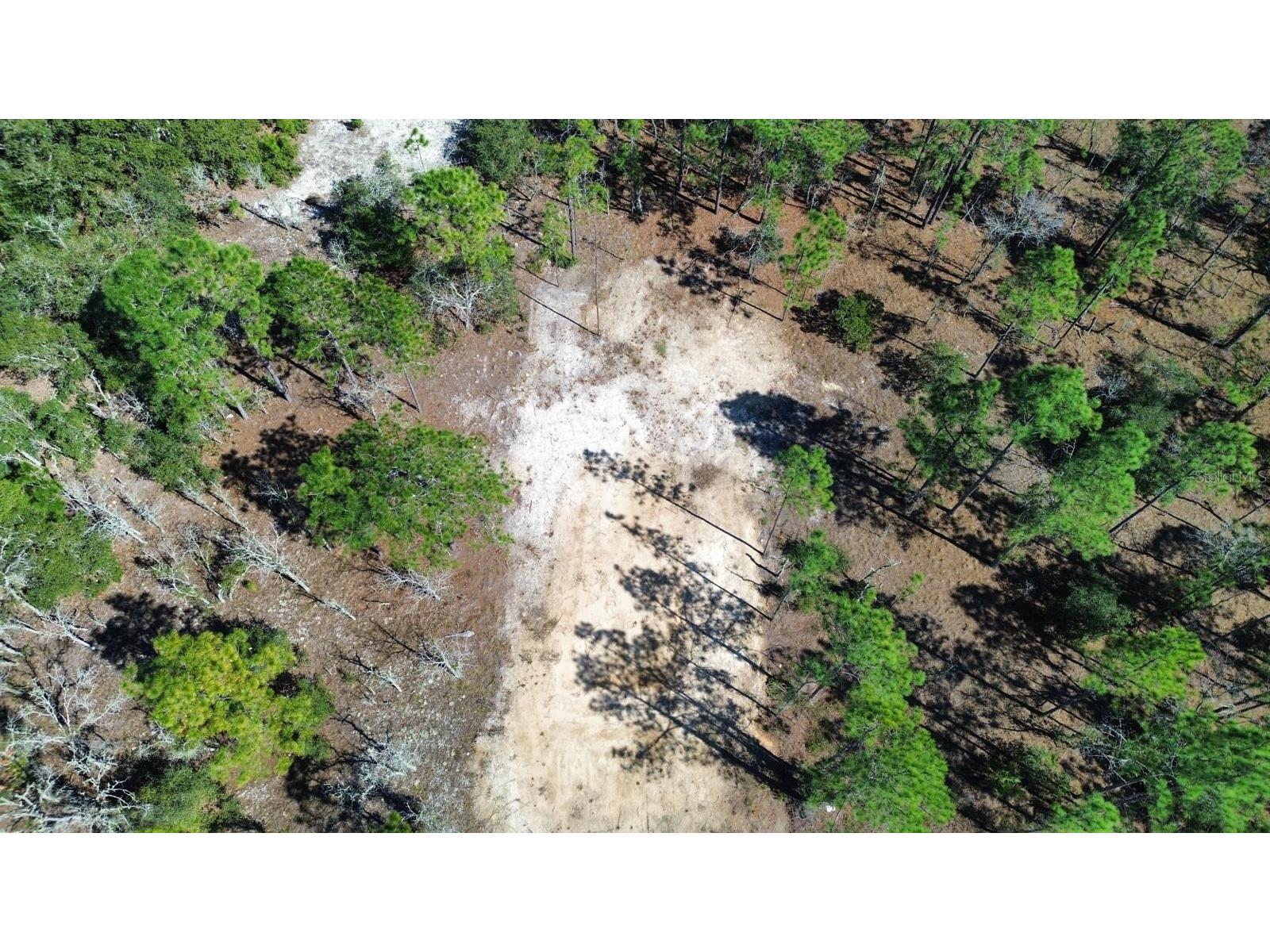 1553 SW Temple Heights Court Dunnellon FL 34431 O6421682 image1