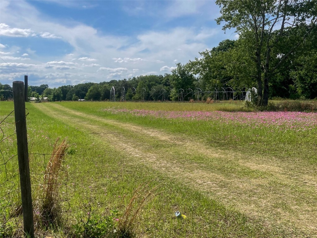 15530 Se 47th Ave Summerfield FL 34491 G5080288 image1