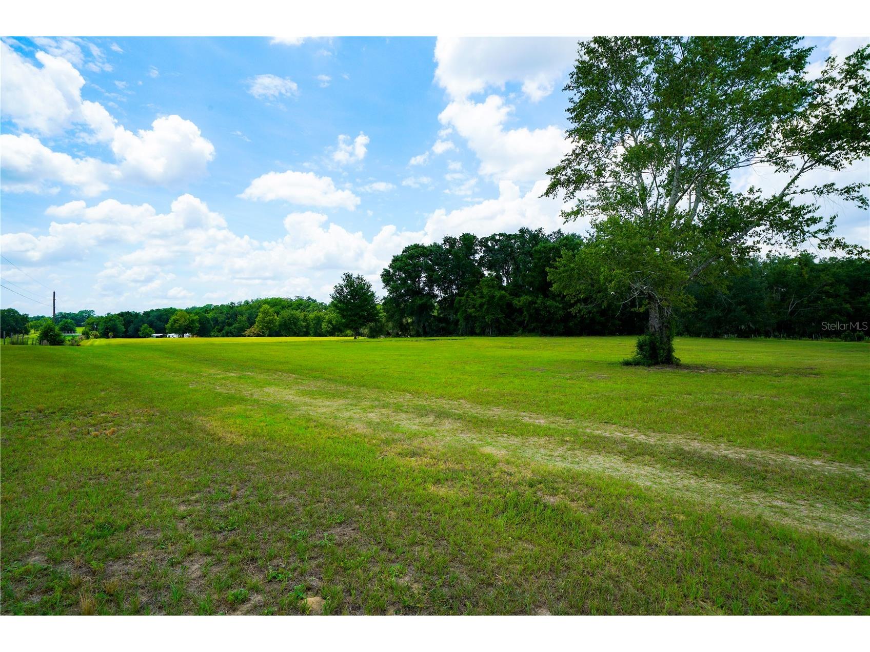 15530 SE 47th Avenue Summerfield FL 34491 G5112921 image53