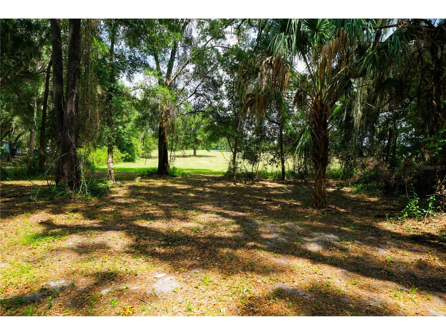 15530 SE 47th Avenue Summerfield FL 34491 G5112921 image68