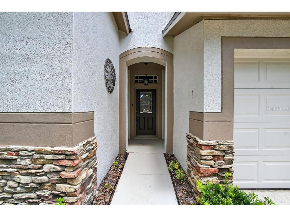 15531 Martinmeadow Drive Lithia FL 33547 TB8418297 image4