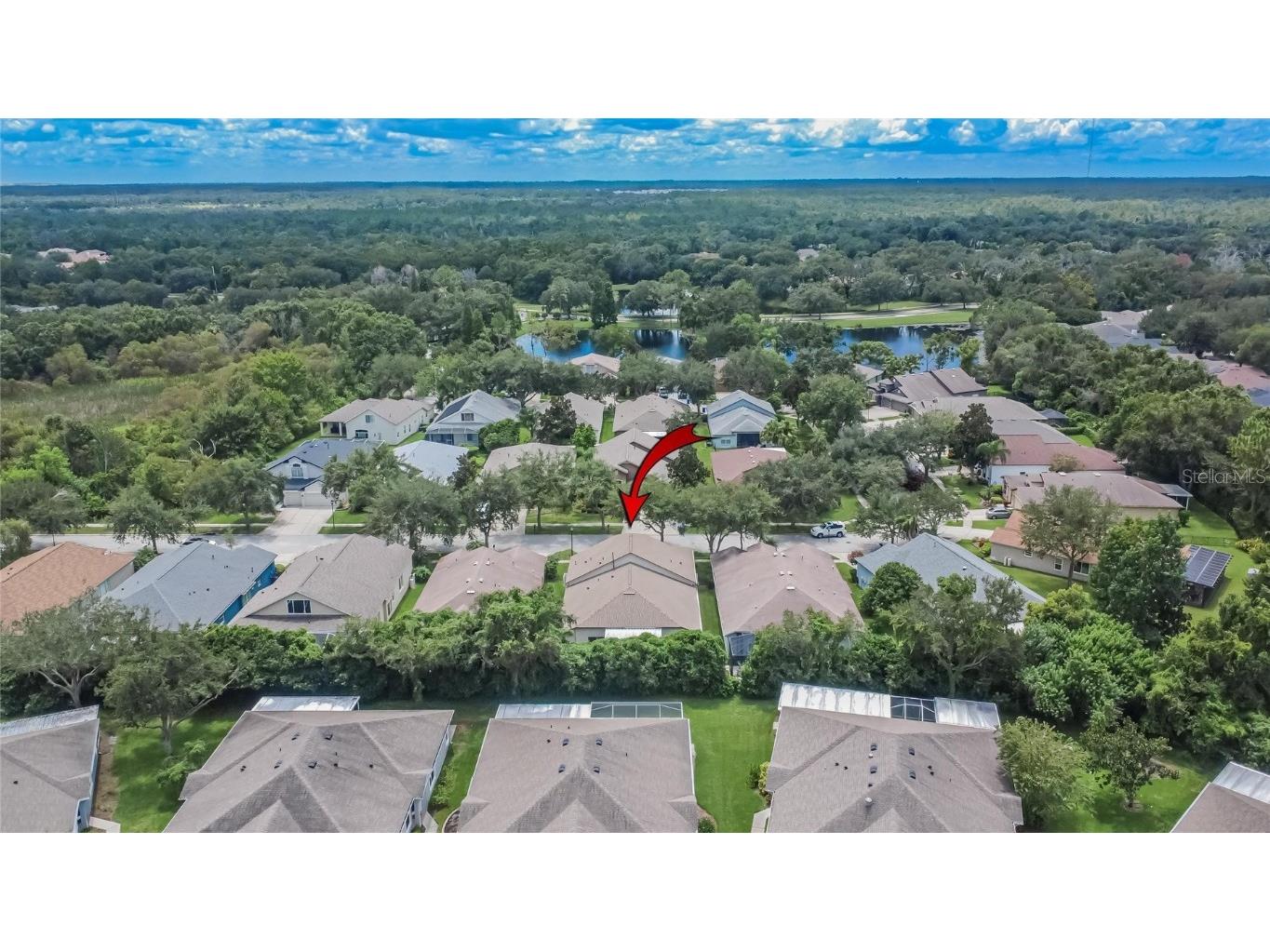 15531 Martinmeadow Drive Lithia FL 33547 TB8418297 image40