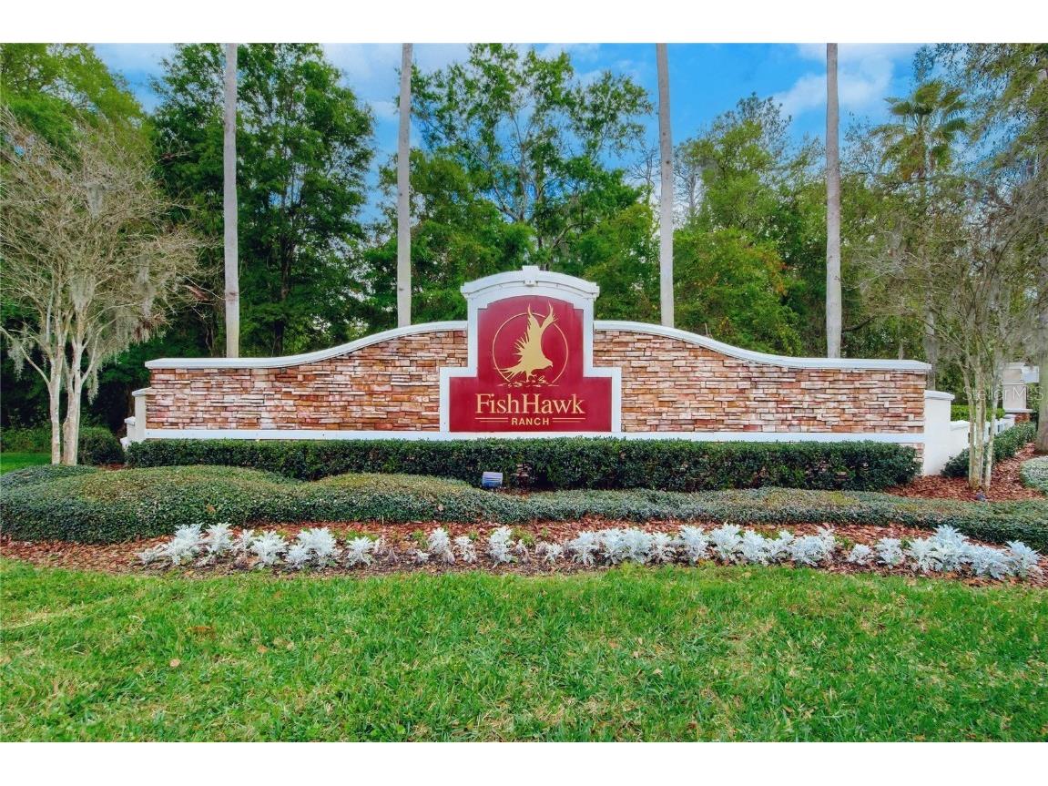 15531 Martinmeadow Drive Lithia FL 33547 TB8418297 image42