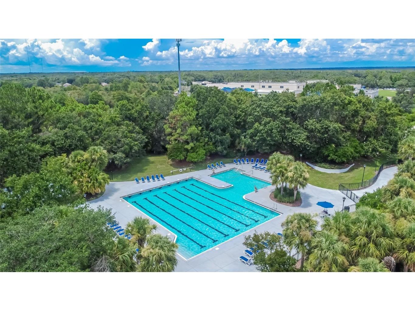 15531 Martinmeadow Drive Lithia FL 33547 TB8418297 image50