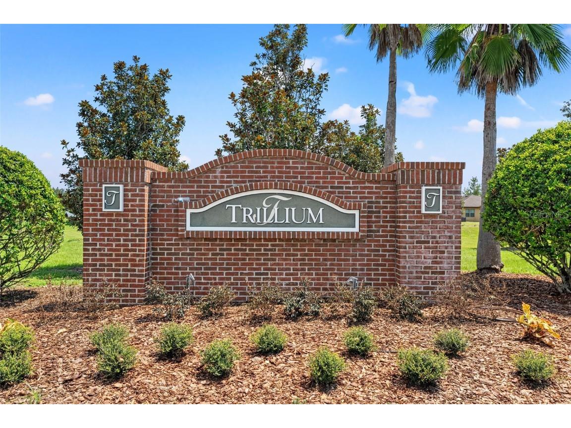 15531 Stone House Drive Brooksville FL 34604 W7877738 image49