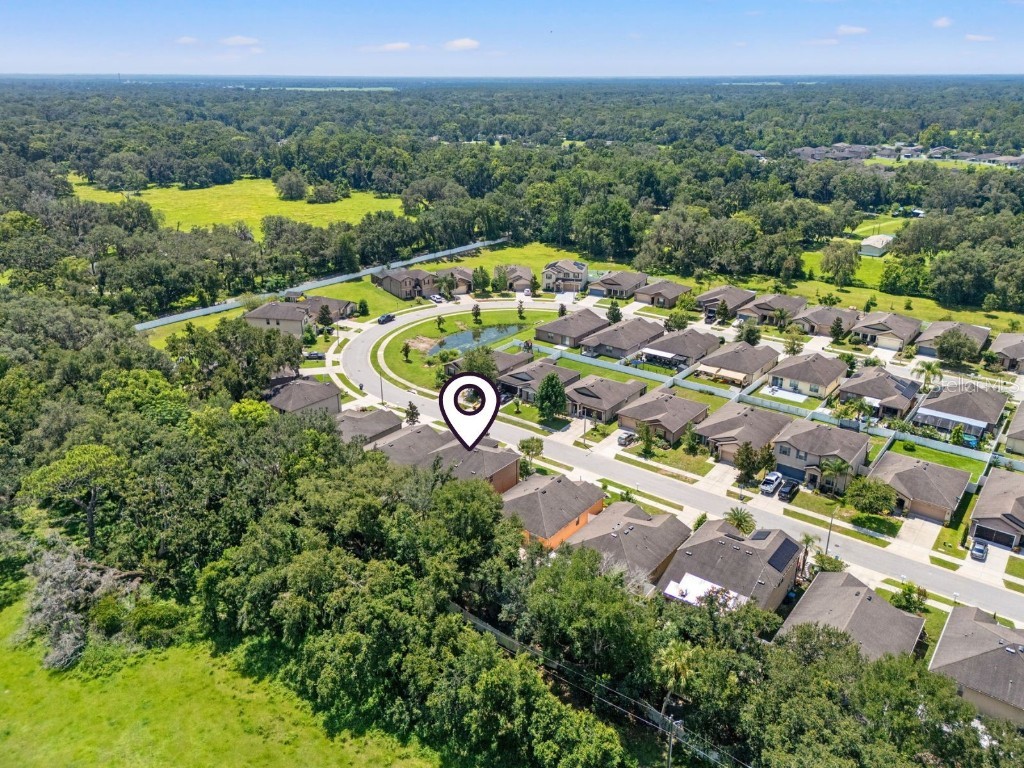 15531 Stone House Drive Brooksville FL 34604 W7877738 image53