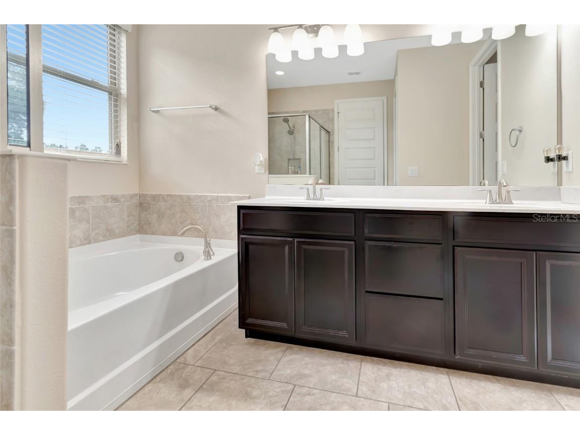 15531 Waterleigh Cove Drive Winter Garden FL 34787 G5097778 image18