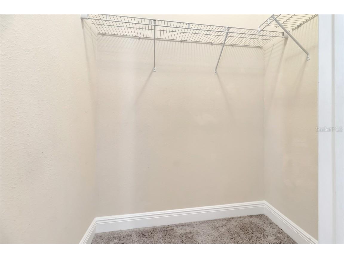 15531 Waterleigh Cove Drive Winter Garden FL 34787 G5097778 image31