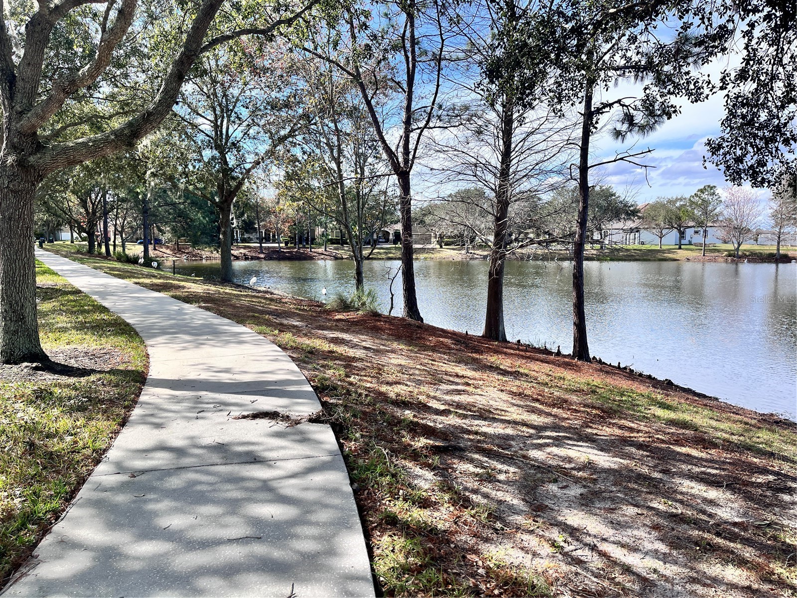15532 Avenue Of The Arbors Winter Garden FL 34787 - LAKE HANCOCK O6405850 image69