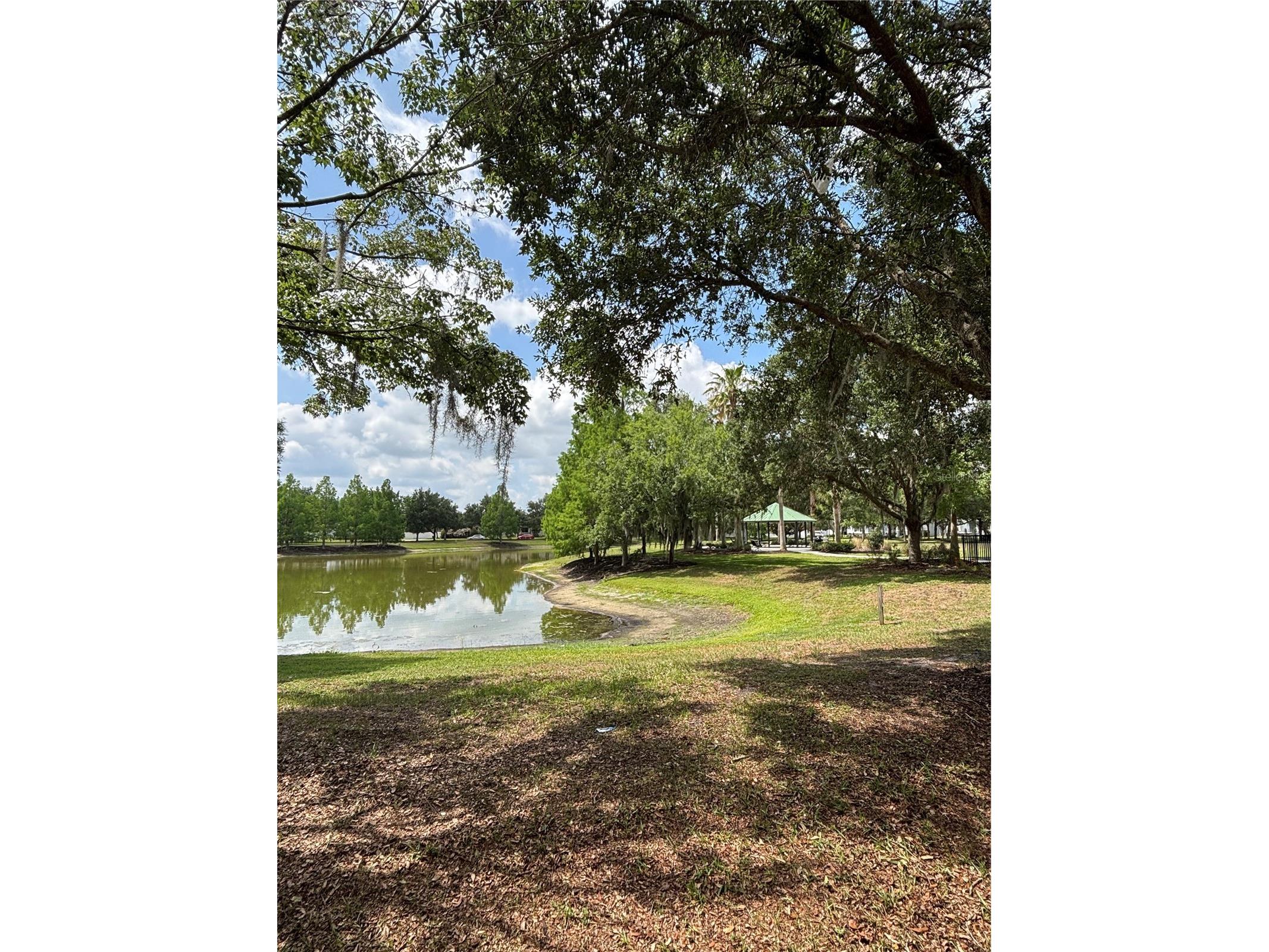 15532 Avenue Of The Arbors Winter Garden FL 34787 - LAKE HANCOCK O6405850 image77