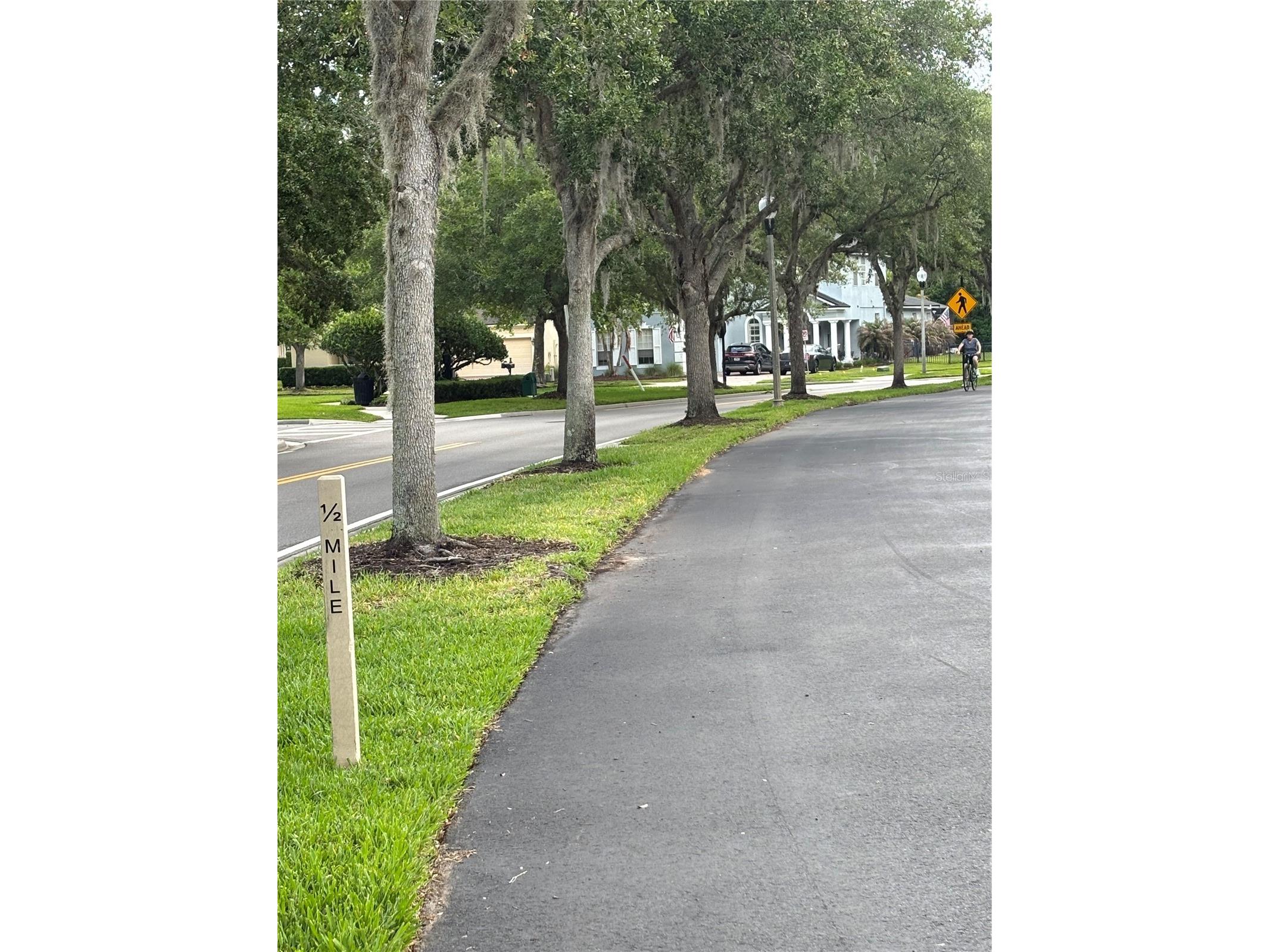15532 Avenue Of The Arbors Winter Garden FL 34787 - LAKE HANCOCK O6405850 image78