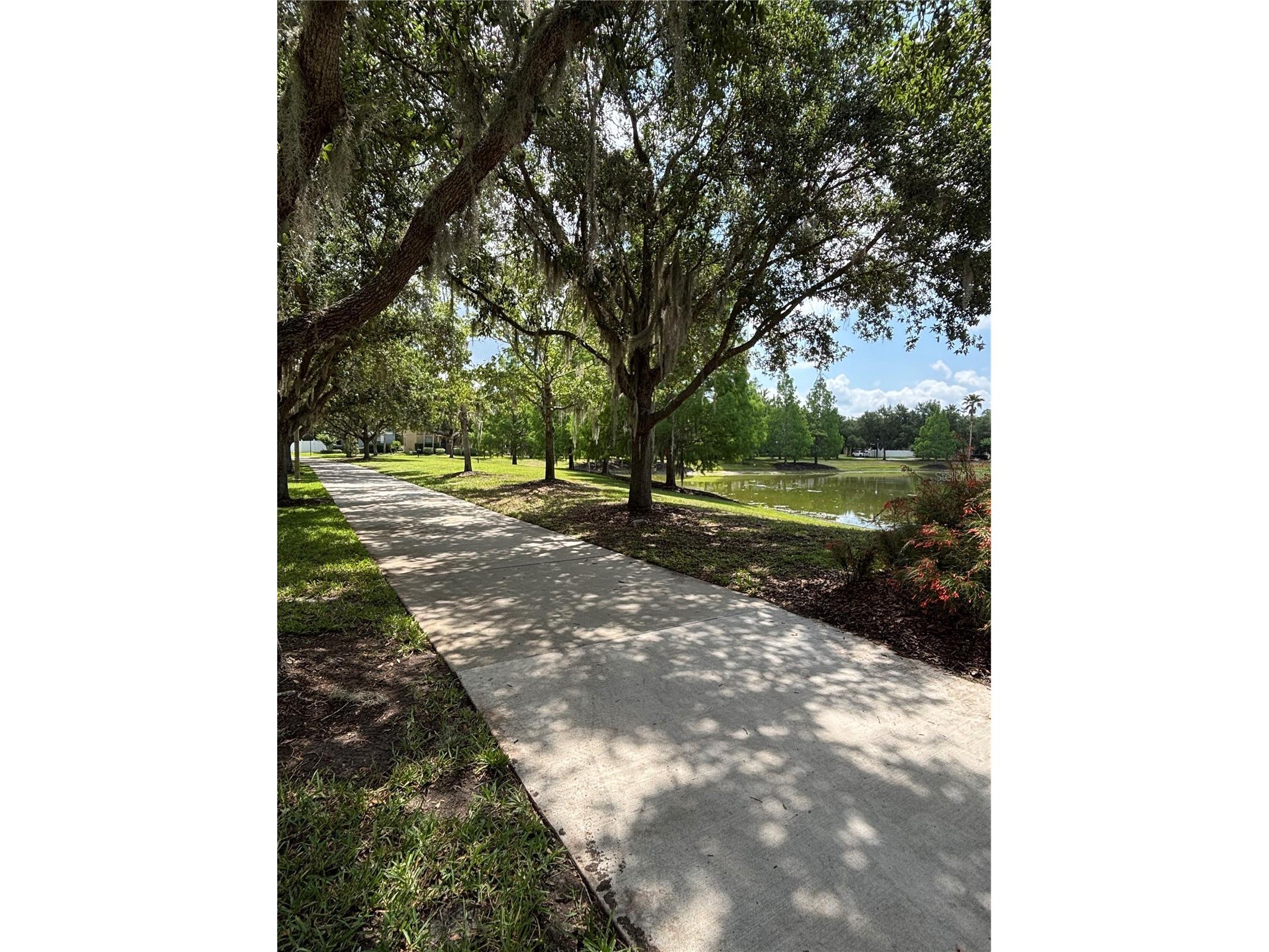 15532 Avenue Of The Arbors Winter Garden FL 34787 - LAKE HANCOCK O6405850 image80
