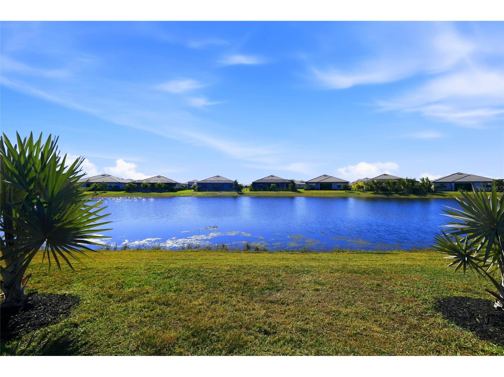 15532 White Linen Drive Bradenton FL 34211 A4679766 image64