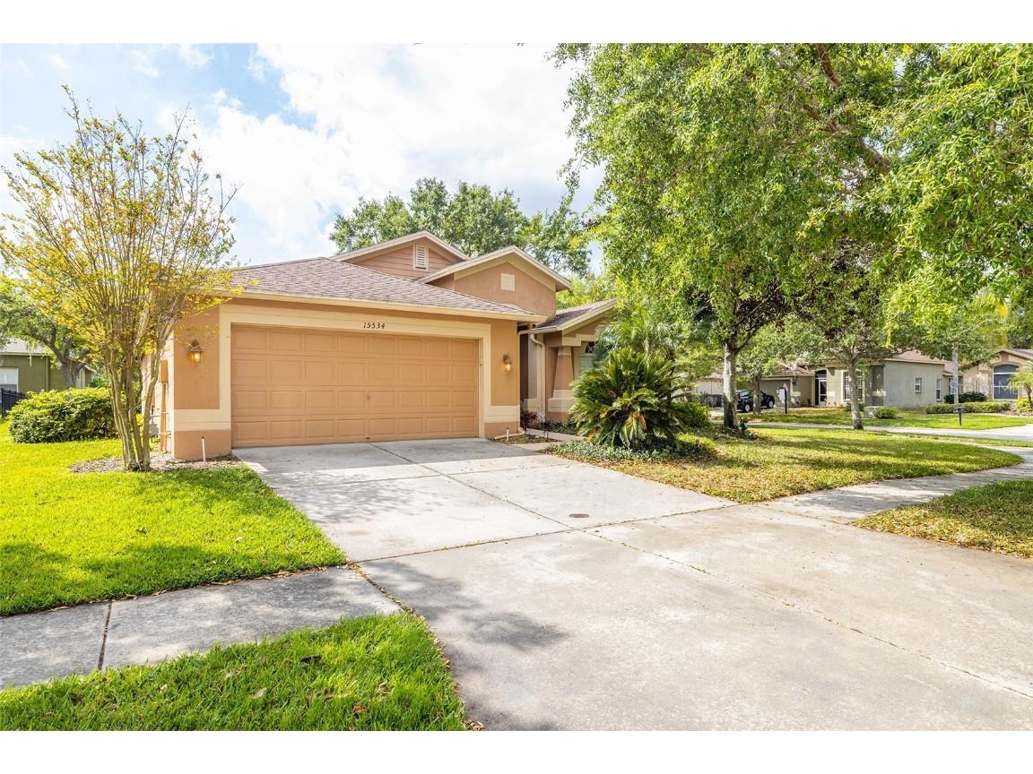 15534 Martinmeadow Drive Lithia FL 33547 U8192799 image1
